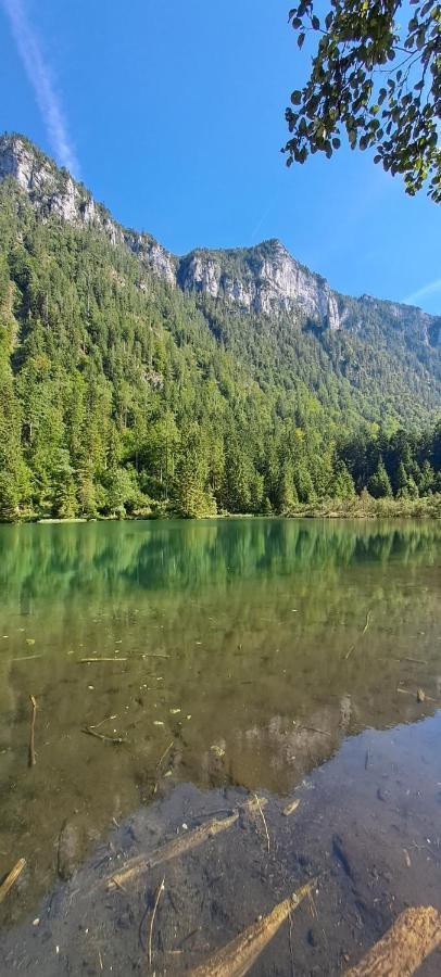 Laerche 2 - Chiemgaukarte Inklusive- Διαμέρισμα Inzell Εξωτερικό φωτογραφία