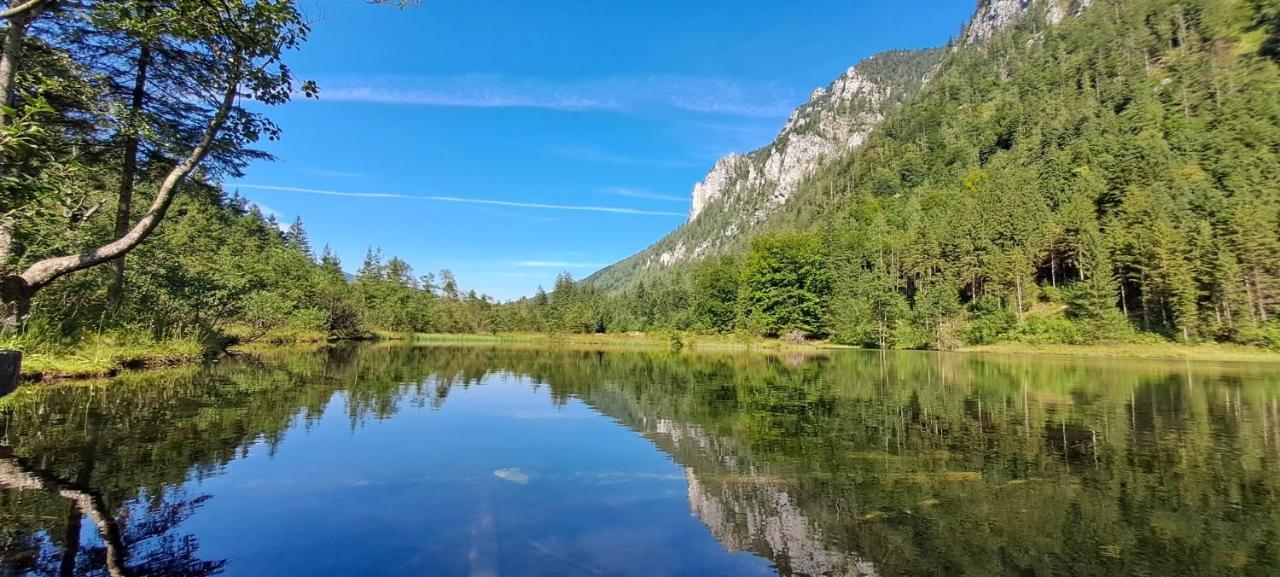 Laerche 2 - Chiemgaukarte Inklusive- Διαμέρισμα Inzell Εξωτερικό φωτογραφία